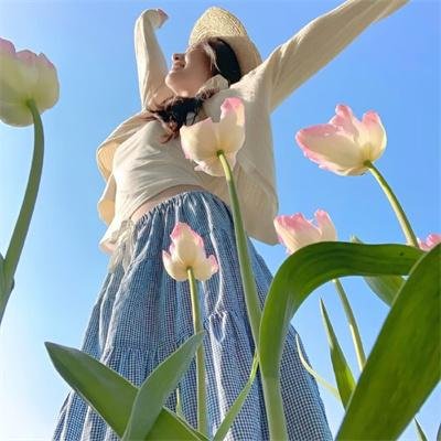 奇谋妙计多仔公